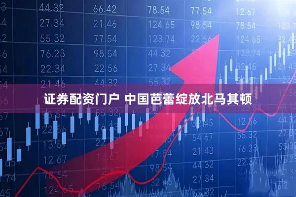证券配资门户 中国芭蕾绽放北马其顿