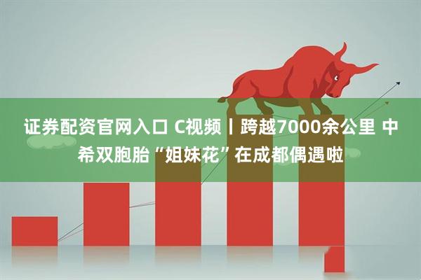 证券配资官网入口 C视频丨跨越7000余公里 中希双胞胎“姐妹花”在成都偶遇啦