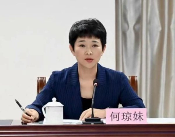 山西配资公司 何琼妹，被查